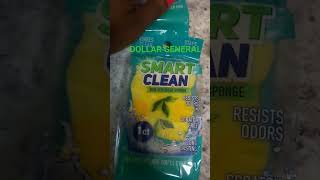 DOLLAR GENERAL| BOGO GREEN DOT #dollargeneral #dollarstorefinds #bogo