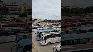 majestic bus stand Bangalore #malayalamshort #tamilshorts #hindishorts #indianshorts #kannadashorts