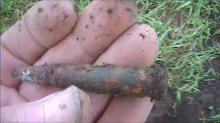 METALDETECTING DORDRECHT