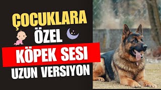 Gerçek Havlayan Köpek Sesi | Köpek Çağırma Sesi | Yavru Köpek Sesi | Dog Barking Sound