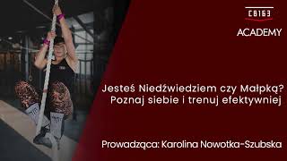 CB163 Academy - Niedźwiedź czy Małpka?