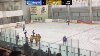 U14AA Flamborough Sabres vs Oakville Rangers Red