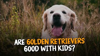 10 Amazing Facts About Golden Retrievers You Didn't Know.