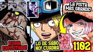 AL FINAL BONNEY ¡SÍ! SERÁ NAKAMA! - KUMA VA A EXPLOTAR!! | LO QUE NO VISTE DEL MANGA 1102