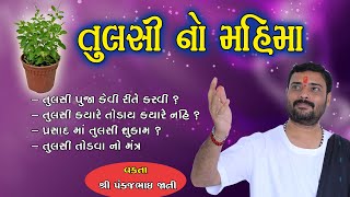 તુલસી નો મહિમા | Tulsi No Mahima | Pankajbhai Jani | Tulsi Kyare Todava ?| Tulsi Pooja no Mantr