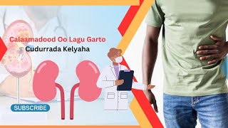 Sababaha Keena Dhagaxaanta Kilyaha   (Kidney Stones)