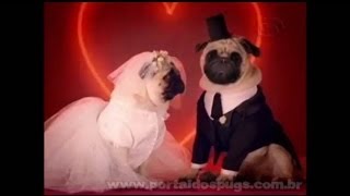 C&A - "Dia dos Namorados 2006" - Comercial de TV - Propaganda com Pug