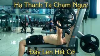 Hướng Dẫn: Đẩy Ngực Nằm (Bench Press)