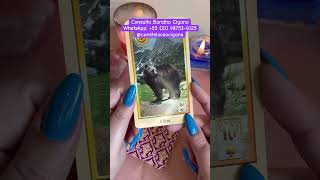 Devo dar uma chance para ele(a)? | Constelação Cigana #tarot #tarologa #baralhocigano