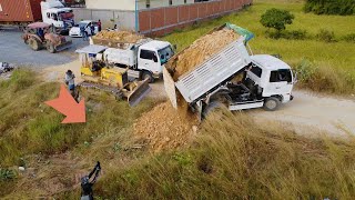 Marvelous D31P Dozer! Frist Start Pushing Landfilling Soils Flooded Area & 5T Dump Truck Uploading