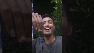 #VLOG187