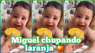 LINDO EMILY GARCIA MOSTRA MIGUEL CHUPANDO LARANJA 🍊EMILY GARCIA 🍊