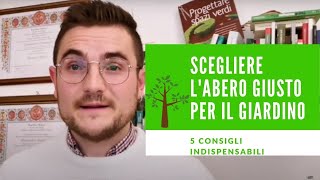 SCEGLIERE L'ALBERO GIUSTO PER IL GIARDINO🌳: I 5 CONSIGLI INDISPENSABILI