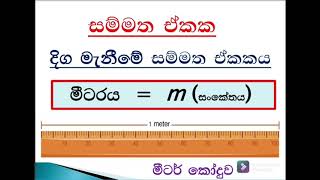 දිග මැනීම