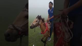 Shogran #ertugrul  #shogran #naran #travel #shorts #short #shortsvideo