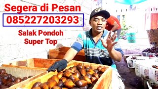 Salak Pondoh Banjarnegara