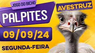 PALPITE DO DIA 09/09/2024 - JOGO DO BICHO 🍀 TODAS AS LOTERIAS 🍀