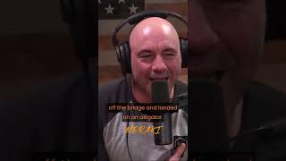 Joe Rogan on Crazy Crocodile Story #joerogan #shorts