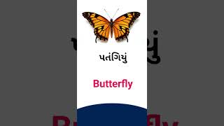 Butterfly meaning in Gujarati - English Dictionary