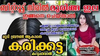 കർക്കിടകത്തിൽ ബീറ്റ്റൂട്ട് മുരിങ്ങയും ഇങ്ങനെ ചെയ്താൽ /hair care /poppy vlogs/malayalam