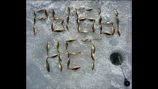 Зимняя рыбалка || Winter fishing || Ротан