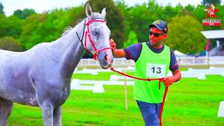 Montpassier Endurance Championship Sheikh Nasser wins 160 km race