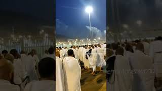 Hajj 2024 MINA #hajj #mina #kaaba #macca  #madeena #hajjshorts 🕋