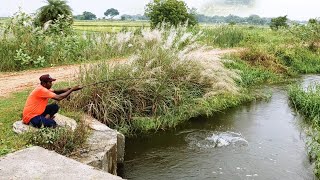 Best Hook 🎣 Fishing Fisher Man Catching The Fishes in Small Hook Gal We Used Earth Worms To Catch