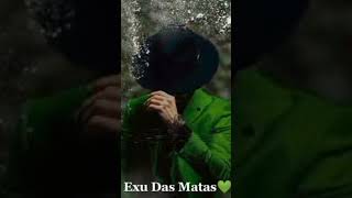 Ponto exu das matas