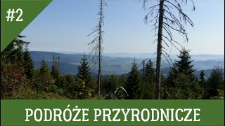 PODRÓŻE PRZYRODNICZE #2   W Gorcach