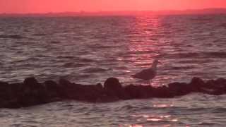 Tramonto sul Wattenmeer - Luglio 2013