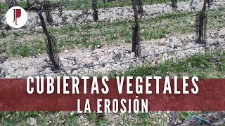 Cubiertas vegetales. La erosión