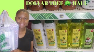 DOLLAR TREE|NEW WEEKLY FINDS #dollarstorefinds #dollartree #dollartreehaul #ontheroadto200subs