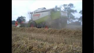 Moisson 2011 (Wheat harvest in France)