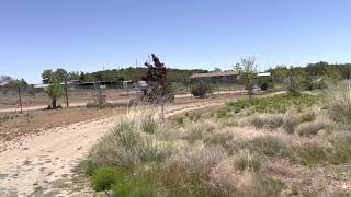 Fisher listing trees and creek-bed