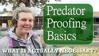 Predator Proofing Basics Chickens, Rabbits, Ducks & More...