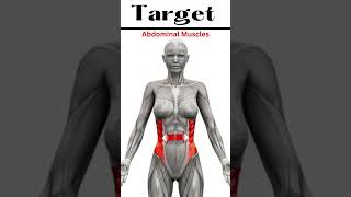 Oblique Crunches _ Target Abdominal Muscles | #youtubeshort #ytshorts #exercise