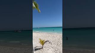 Caribe #caribe #caribesports #islasaona #shorts #short #shortvideo #praia #puntacana