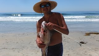 Slingbow Fishing the San Diego Surf Onshore