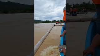 Menyusuri sungai Grindulu menuju Watu Mejo Mangrove Park