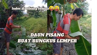 PAK SUAMI BANTUIN CARI DAUN PISANG BUAT BUNGKUS LEMPER