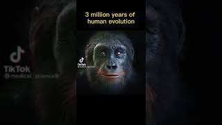 Evolution of the human race till date