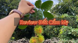 Review Đất Cẩm Mỹ | kết Nối sân Bay Quốc Tế Long Thành | BĐS