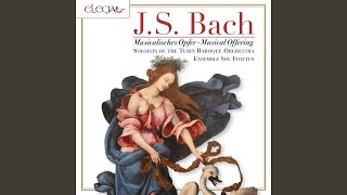 Musicalisches Opfer, BWV 1079: Canon 4 (a 2 per augmentationem, contrario motu) Notulis...