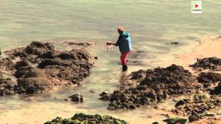 BRETAGNE   | 🏝️ Plage de Kerhostin   |   Monte-Carlo Bretagne Télé 🇲🇨