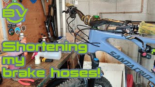 Shorten my Shimano brake hoses  | Mountain Bike Maintenance