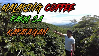 Malaking Coffee Farm sa Kapatagan