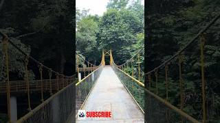 Vazhani dam hanging bridge#viralvideo #shortsfeed #subscribe #hanging #bridge #1million #thrissur