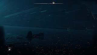 Horizon Forbidden West BUG