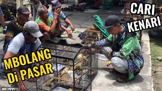 Cek Harga Kenari di Pasar Plembon & Pasar Legen Jatinom | Sekalian Cari Materi Kenari